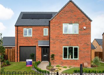 Thumbnail Detached house for sale in "The Coltham - Plot 27" at Chingford Close, Penshaw, Houghton Le Spring