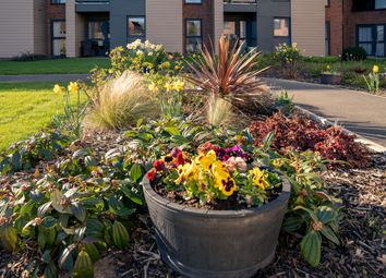 Elizabeth Place Gardens