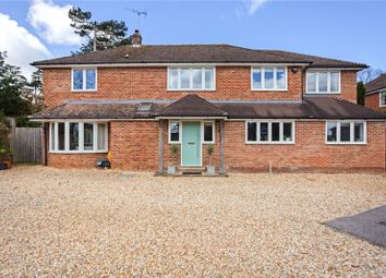 Winchester - Detached house for sale              ...