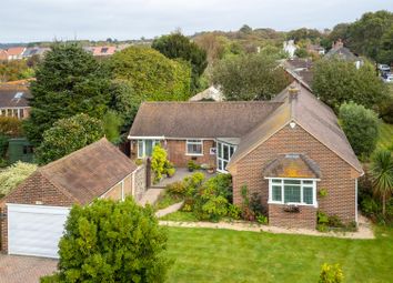 Thumbnail Detached bungalow for sale in The Avenals, Angmering, Littlehampton