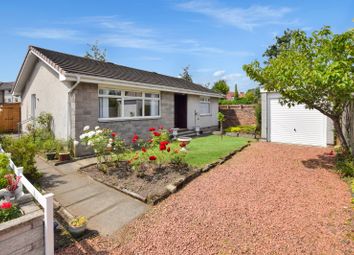 Thumbnail Bungalow for sale in Main Street, Wishaw, North Lanarkshire