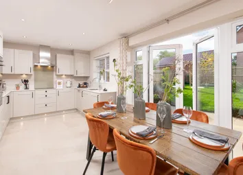 Showhome Photography