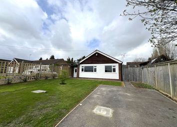 Thumbnail 4 bed detached bungalow to rent in Church Lane, Trottiscliffe, West Malling