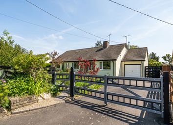 Thumbnail Detached bungalow for sale in Avalon, Slough Green, Taunton, Somerset