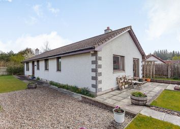 Thumbnail 4 bedroom bungalow for sale in Culbokie, Dingwall
