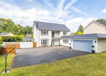 Thumbnail Detached house for sale in Holly Avenue, Frimley, Camberley, Surrey