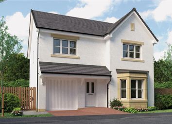 Thumbnail 4 bed detached house for sale in "Crompton Det" at Monifieth