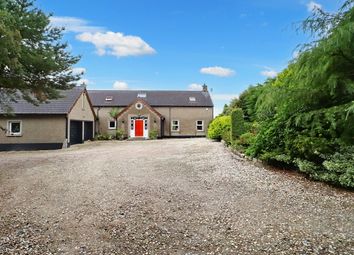 Thumbnail Detached house for sale in 44A Carrowdore Road, Greyabbey. Newtownards, County Down