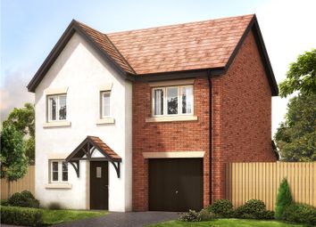 Thumbnail Detached house for sale in The Ayton, Middleton Waters, Middleton St George