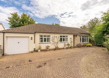 Thumbnail 3 bed bungalow for sale in Gaston Lane, Sherston, Malmesbury