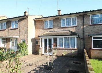 2 Bedroom Terraced house for rent
