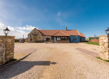 Thumbnail Detached house for sale in The Plough On The Hill, Allerdean, Berwick-Upon-Tweed