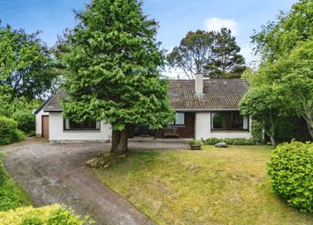 Thumbnail 3 bedroom detached bungalow for sale in Balblair, Dingwall