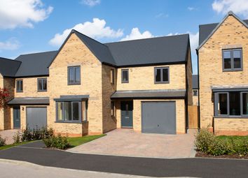 Thumbnail 4 bedroom detached house for sale in "Exeter" at Nuffield Road, St. Neots