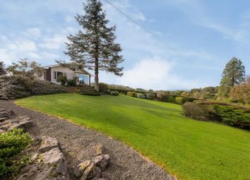 Thumbnail 4 bed detached bungalow for sale in Dolau, Powys