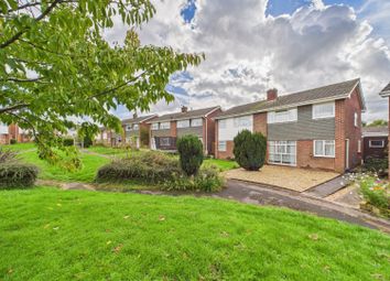 Cam02023G0-Pr0177-Still022