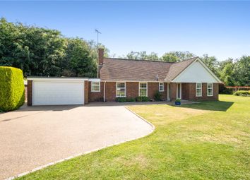 Thumbnail 3 bedroom detached bungalow for sale in Long Wood Drive, Beaconsfield