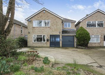Thumbnail Detached house for sale in Common Road, Witchford, Ely