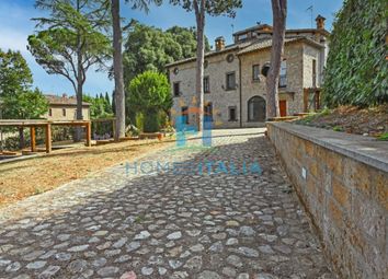 Thumbnail 5 bed villa for sale in Castiglione In Teverina, Latium, Italy
