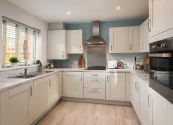 Showhome Photography