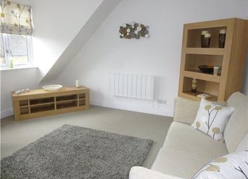 Property To Rent In Ely Cambridgeshire Renting In Ely
