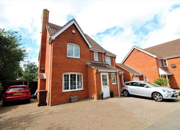 Thumbnail 4 bed detached house to rent in Canfor Road, Rackheath, Norwich