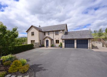 Thumbnail 4 bed detached house for sale in Hawick