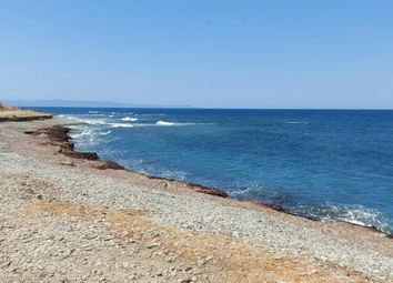 Thumbnail 2 bed bungalow for sale in Pomos, 8870, Cyprus