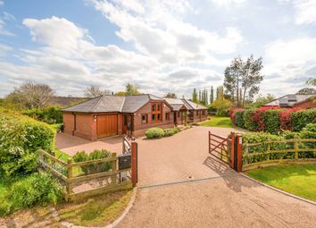 Thumbnail 5 bedroom bungalow for sale in Hilltop Farm, Kings Langley, Hertfordshire