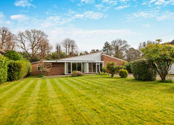 Thumbnail Bungalow for sale in Broomfield Park, Ascot, Berkshire
