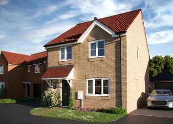 East Anglia_Stirling Cross_Mylne v1 Plot 219_Web