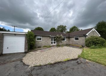 Thumbnail Detached bungalow to rent in Ammerham, Winsham, Chard