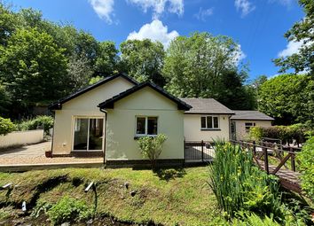 Newcastle Emlyn - Detached bungalow for sale           ...