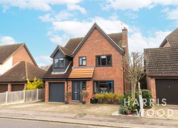 Thumbnail 4 bed detached house for sale in Goldcrest Close, Colchester, Essex