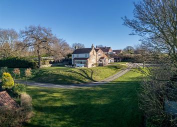 Dji_0155