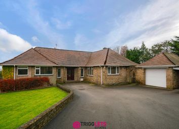Thumbnail Bungalow for sale in Saxon Lights, Clough Road, Hoyland, Barnsley
