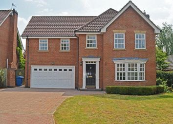 Thumbnail 5 bed detached house to rent in Woodhall Park, Beverley