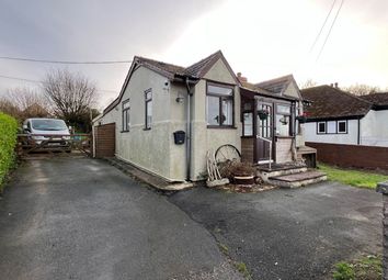 Thumbnail 4 bed bungalow for sale in Brynhoffnant, Llangrannog