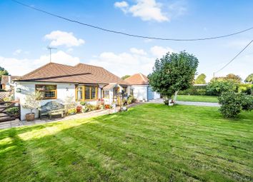 Thumbnail Detached bungalow for sale in Canterbury Road, Challock, Ashford