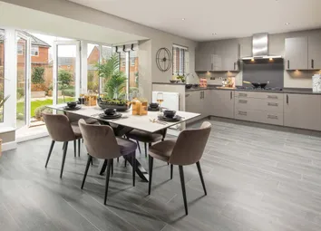 Holden Kitchen