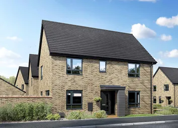 CGI Of The 4-Bed Plumdale