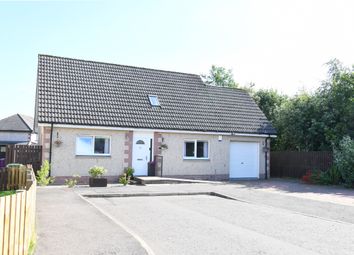 Thumbnail Detached house for sale in Beattie Brae, Brechin