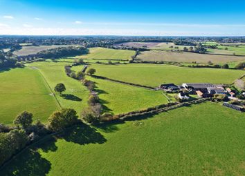 Thumbnail Farm for sale in West Bergholt, Colchester, Essex CO6.