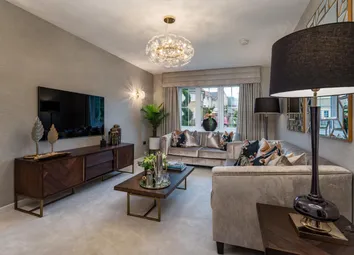 Showhome Photography