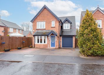Thumbnail 3 bedroom detached house for sale in Marchfield Place, Dumfries