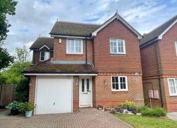 Thumbnail Detached house to rent in Upper Halliford Road, Shepperton