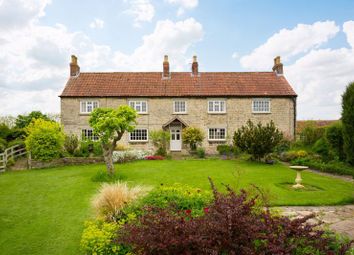 Thumbnail Detached house for sale in Settrington, Malton