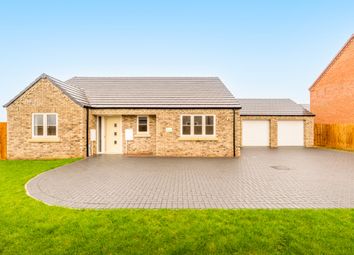 Thumbnail Bungalow for sale in 14 Hickory Close, Wignals Wood, Holbeach, Spalding, Lincolnshire