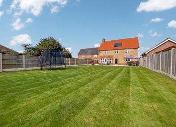 Thumbnail 4 bed detached house for sale in Daisy Close, Martham, Great Yarmouth