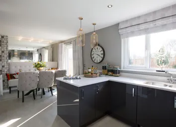 Showhome Photography